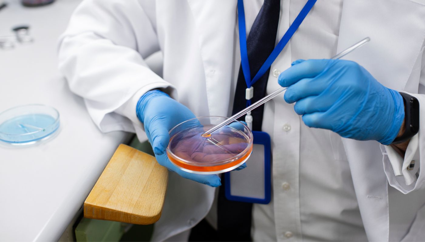 Stem Cell Transplant Autologous: Using Your Own Cells for Healing