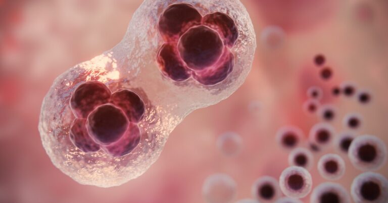 Embryonic Stem Cell Meaning