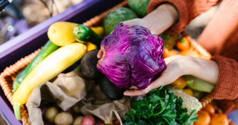 registered dietitian