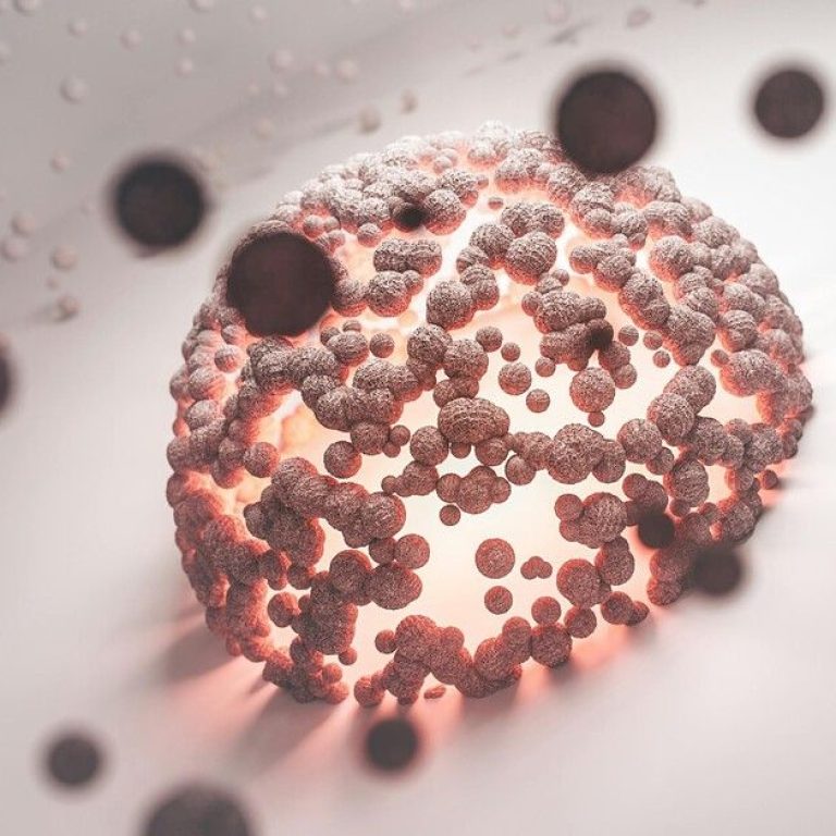 adult-stem-cells